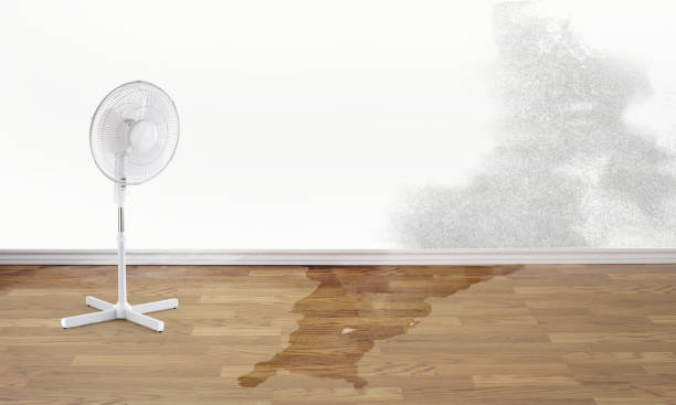 Best Ceiling water damage repair  in Greenlawn, NY