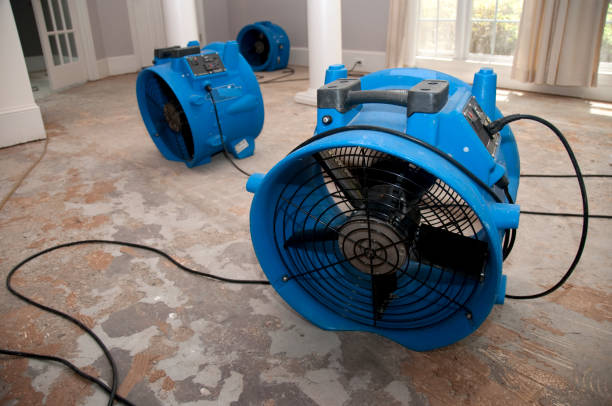Best Flooded house restoration  in Greenlawn, NY