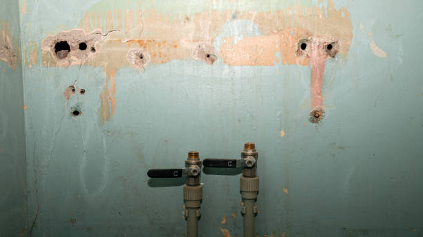 Best Basement water damage restoration  in Greenlawn, NY