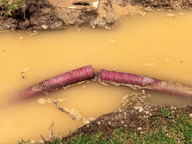 Best Water damage cleanup near me  in Greenlawn, NY